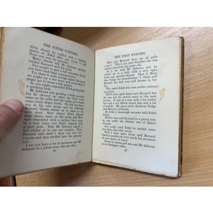 1919 DAISY ASHFORD "THE YOUNG VISITERS" FICTION SMALL HARDBACK BOOK (P2)
