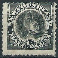Newfoundland 1894 SG59 1/2c Black Mounted Mint ....