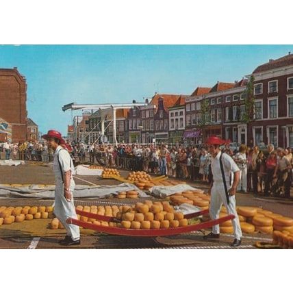 Alkmaar Holland Fruit Orange Market Vendors Postcard