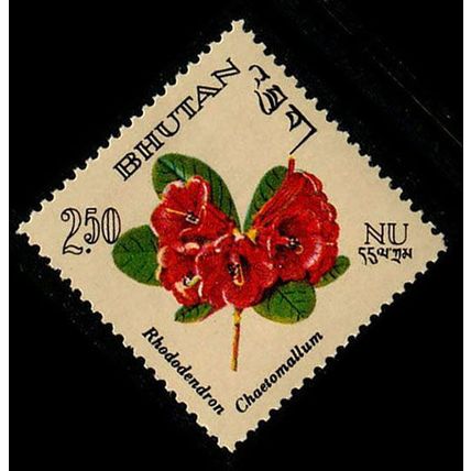Bhutan 1967 Flowers 2.50NU MNH Stamp