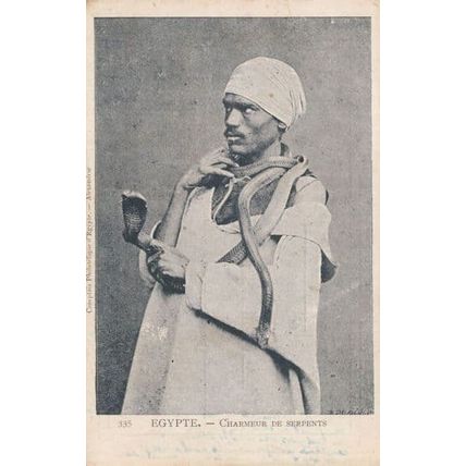 Egyptian Snake Charmer With Deadly Serpent On Throat Antique Postcard