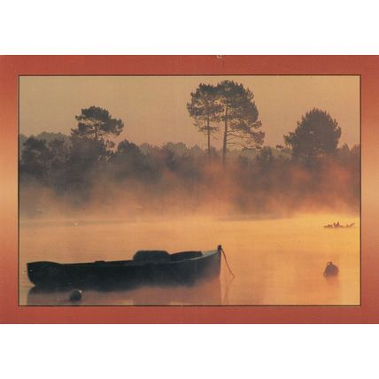 Cote Atlantique Early Softness France Postcard posted 1991 VGC