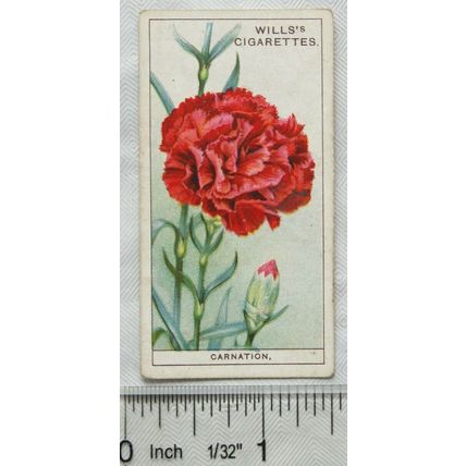 1933 Wills Garden Flowers No. 11 Carnation