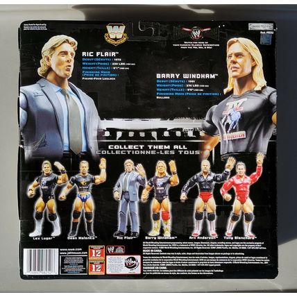 wwe wwf ljn classic superstars ric flair & barry windham wrestling figures