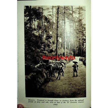 Street, San Antone, Mexico, (El Desierto Reserve, Reverse), Book Illustration