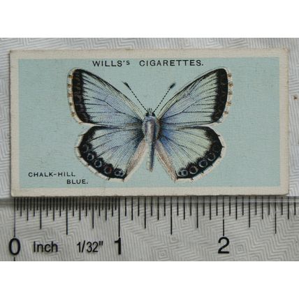1927 Wills British Butterflies No. 5 Chalk-hill Blue