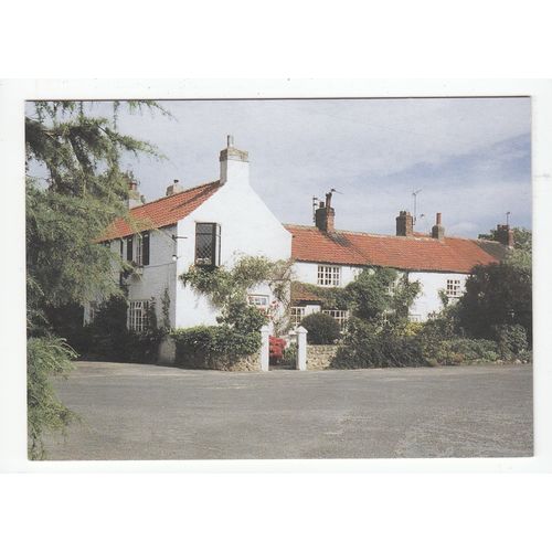 The Village of Bishop Monkton Modern Postcard North Yorkshire