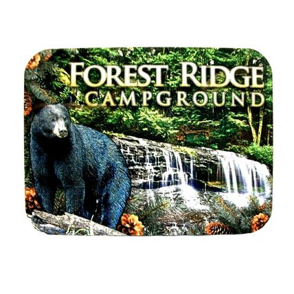 Forest Ridge Campground Pennsylvania with Black Bear Photo Fridge Magnet