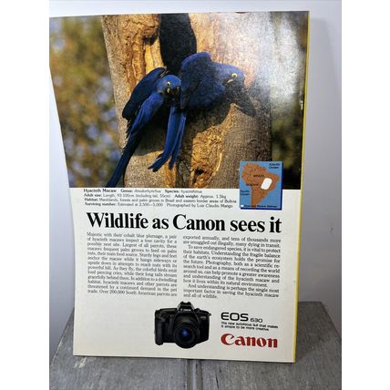 National Geographic Magazine August 1989 Elephant Talk Vintage Collectable p2