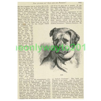 Rab by Dr John Brown, Book Illustration, c1890