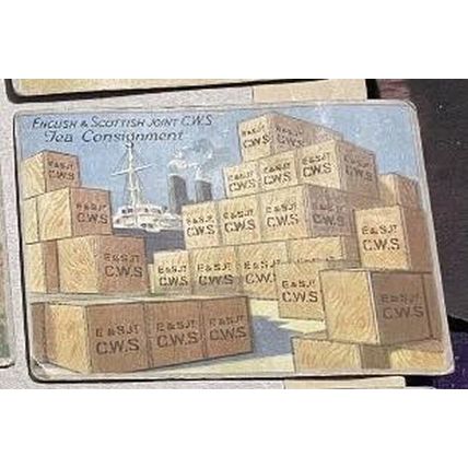 CWS Tea Cards - The Story of Tea - 11 cards (one missing from set)
