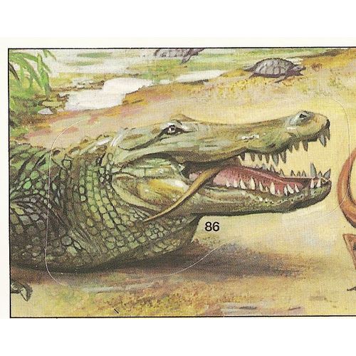 Panini's Dinosaurs Sticker Collection - Sticker No. 86