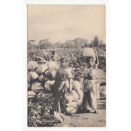 Ladies Vegetables Ceylon Postcard Publisher John & Co
