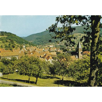 Muhlbach France Postcard used VGC