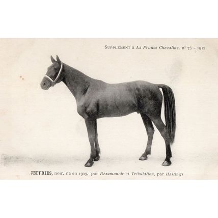 Jeffries La France Chevaline Race Horse Antique 1909 PB Postcard