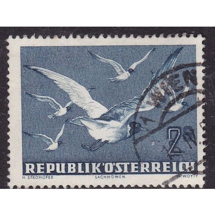 Austria 1950 Black Headed Gulls 2s Used SG 1217 VGC