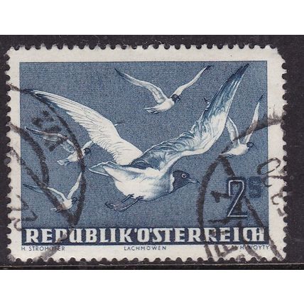 Austria 1950 Black Headed Gulls 2s Used SG 1217 VGC