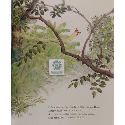 LE PAPILLION DE BOUN de SAATOMI ICHIKAWA FRENCH LANGUAGE PICTURE BOOK