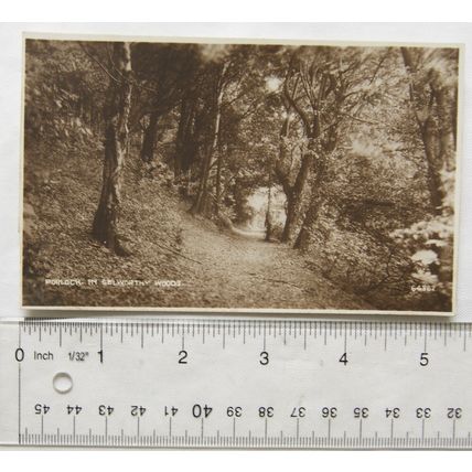 vintage postcard Porlock in Selworthy Woods