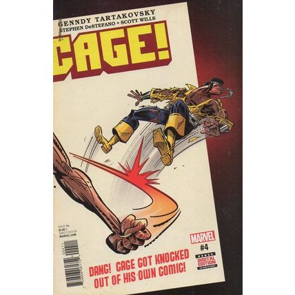 Cage #4 / 2017