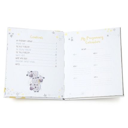 Me to You Tiny Tatty Teddy Pregnancy Journal