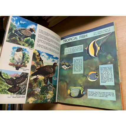 1968 "THE THIRD TREASURE BOOK OF ANIMALS" ANNUAL HARDBACK BOOK (P4)