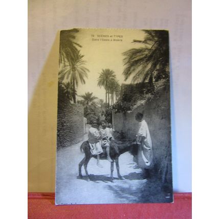 DANS L'OASIS A BISKRA, ALGERIA... vintage unused postcard. donkey #