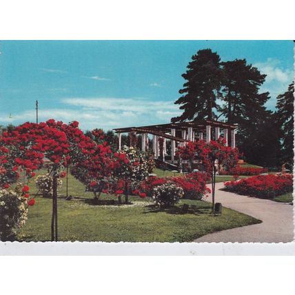 Geneve Roseraie Switzerland Postcard unused VGC