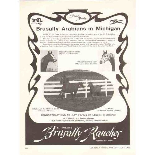 brusally ranches 1972 ed tweed gay farms mi arabian horse vintage ad