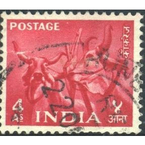 India 1955 - SG360 - 4a red - Bullocks - used
