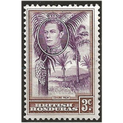 British Honduras 1938 SG152 3c Purple & Brown Mounted Mint . .. .