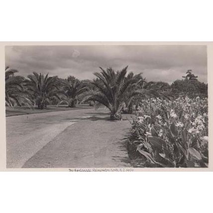 The Esplanade Palmerston North New Zealand Rare Photo Postcard