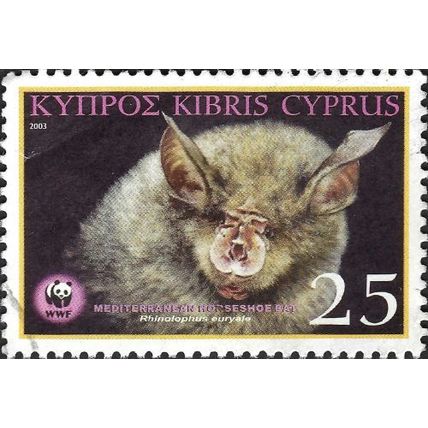 CYPRUS, Head Mediterranean Horseshoe Bat, Rhinolophus euryale, black 2003, 25c