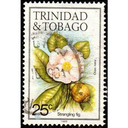 Trinidad & Tobago 1989 Flowers 25 Used Stamp Strangling Fig