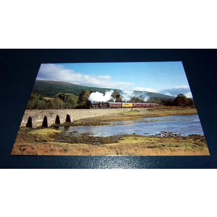 5407 LOCOMOTIVE ASSOCIATION : THE ROYAL SCOTSMAN : POSTCARD