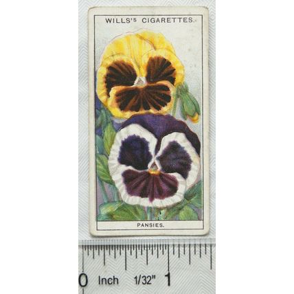 1933 Wills Garden Flowers No. 34 Pansies
