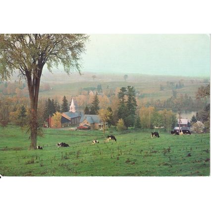 Canada Postcard 1974 - Pastoral Scene on St-Francois River, Lower Richmond
