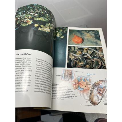 National Geographic Magazine October 1996 African Gold - Vintage Collectable