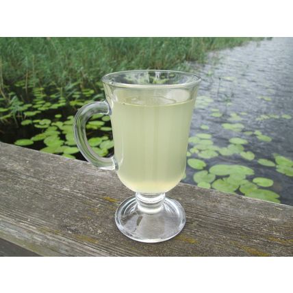 200ml natural fermented Birch Sap / Juice / from the wild forest of Latvia