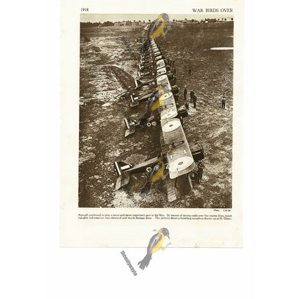 Squadron Of Bombers At St Omer, France, 1918, Book Illustration, 1935