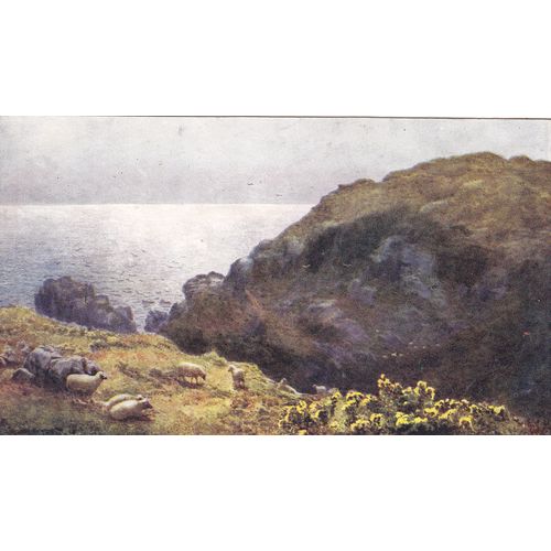 Above Kynance Cove (Picturesque Counties) Cornwall Postcard (CR72725)