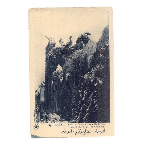 NESTS OF STORKS AT THE OUDAYAS, RABAT, MOROCCO unused vintage postcard,