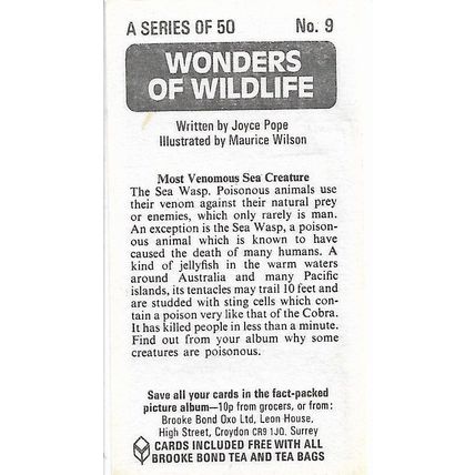 Wonders of Wildlife 1976 Brooke Bond Tea Card 9 - Most Venomous Sea Creature