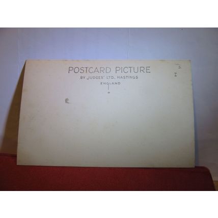 SHANE'S CASTLE, ANTRIM, CO. ANTRIM, NORTHERN IRELAND unused antique postcard =