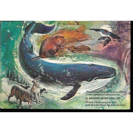 Brooke Bond Tea Card Album: 1976 Wonders of Wildlife, With All Cards