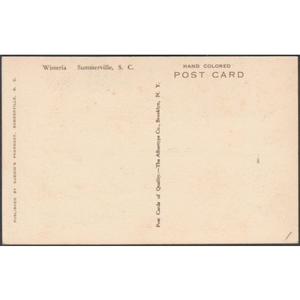 Wisteria, Summerville, South Carolina, c.1910s - Guerin's Pharmacy Postcard