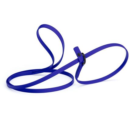 Dog Pet Waterproof Slip Lead - W3/8" x L5' - Blueberry Royal