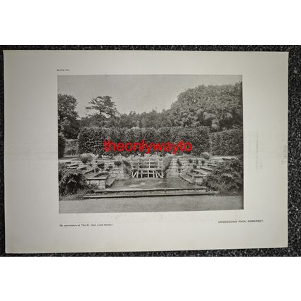 Water Garden, Ashridge Park, Herts, (More, Reverse), Book Illustration (Print)