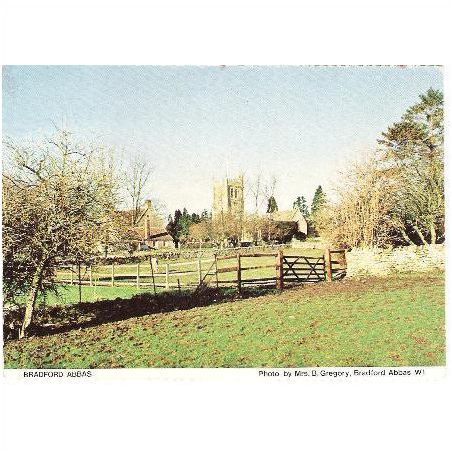 Bradford Abbas, Dorset - village & church - local postcard 1980s