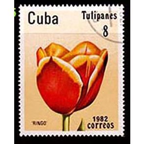 Cuba 1982 Flowers Tulip 8c Used Stamp